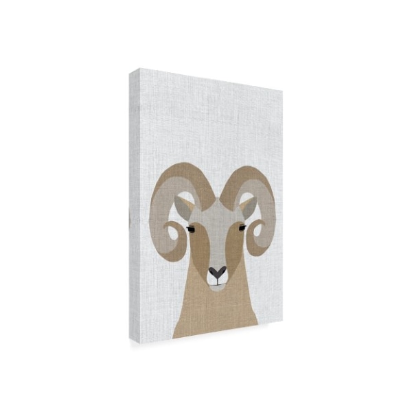 Annie Bailey Art 'Bighorn Sheep' Canvas Art,30x47